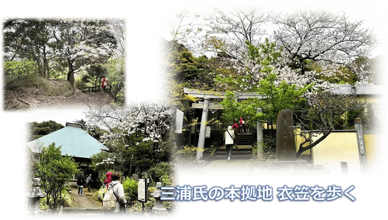 2024年度の写真